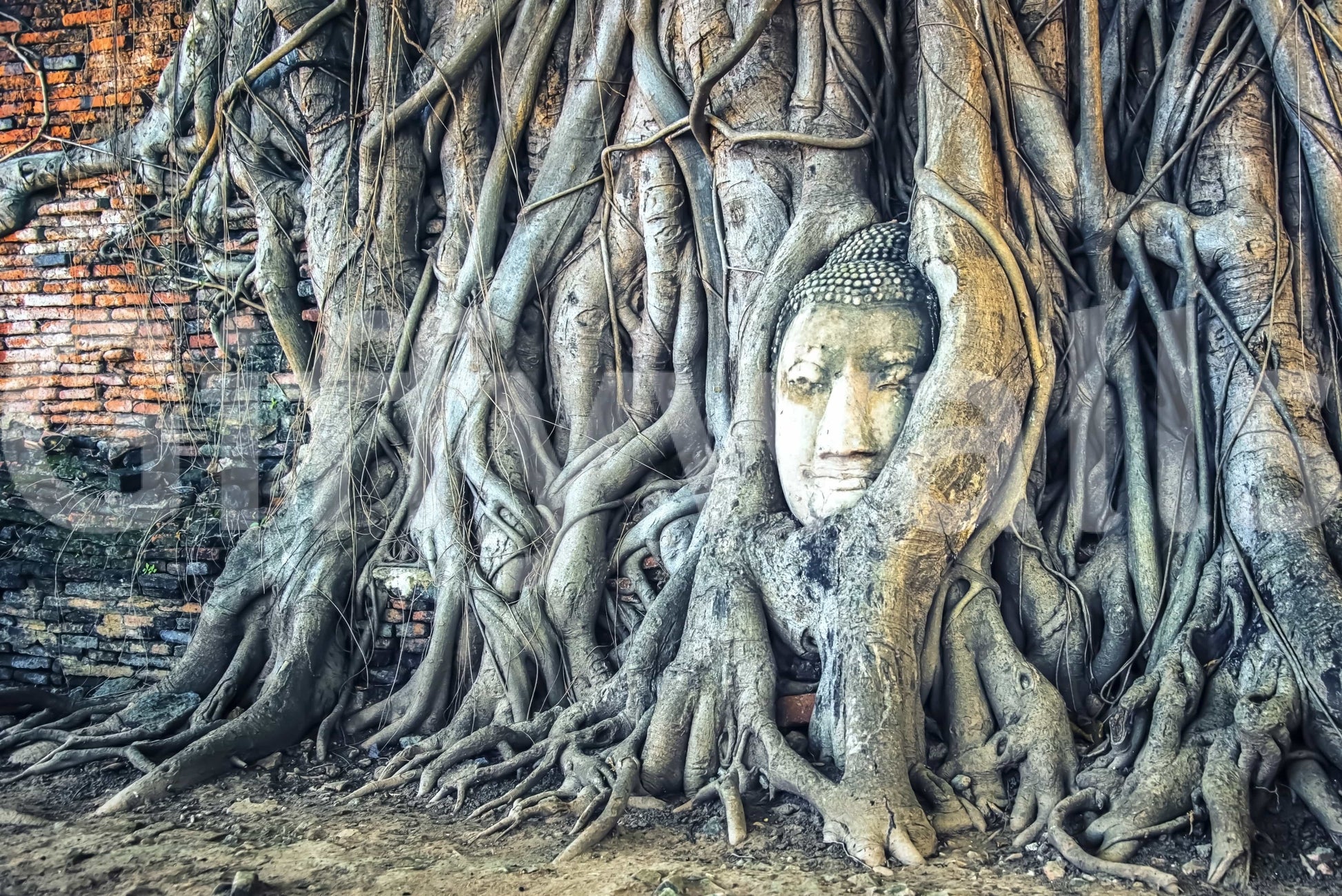 Timeless Harmony botanical embrace of antique masonry and carving.