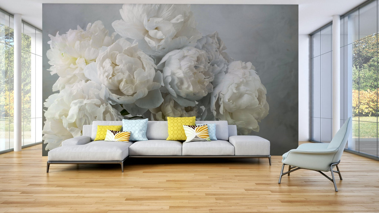 White peonies in full bloom wallpaper

