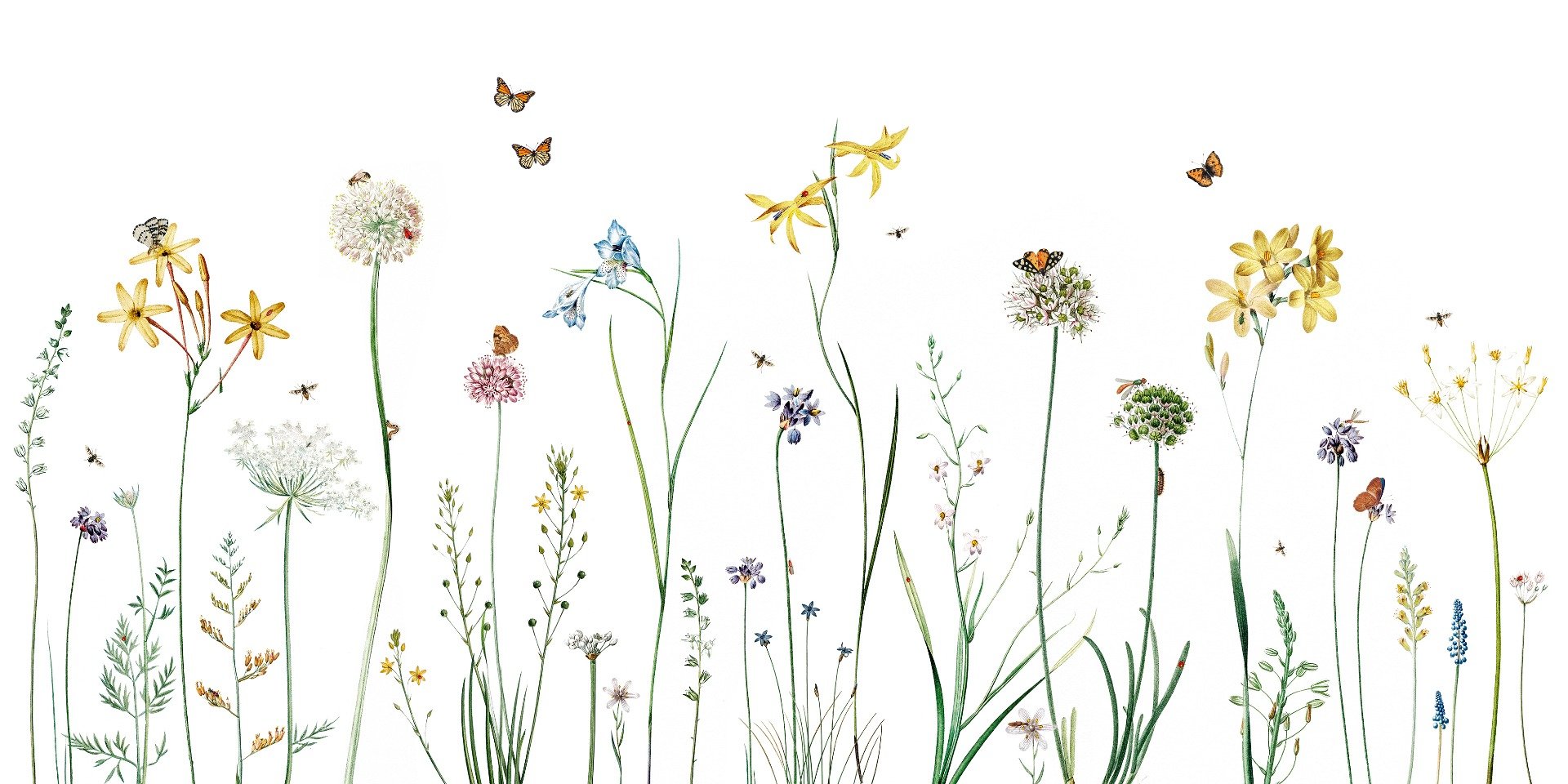 Papier peint de papier peint de jardin papillon in your room — zoomed