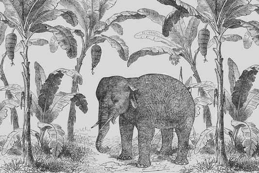 Vintage Elephant Wall Mural