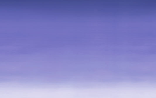 Fresque murale violet ombre