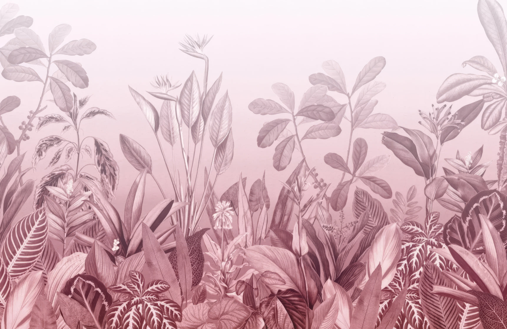 Pink Tropical Jungle Wall Mural in your room — zoomed