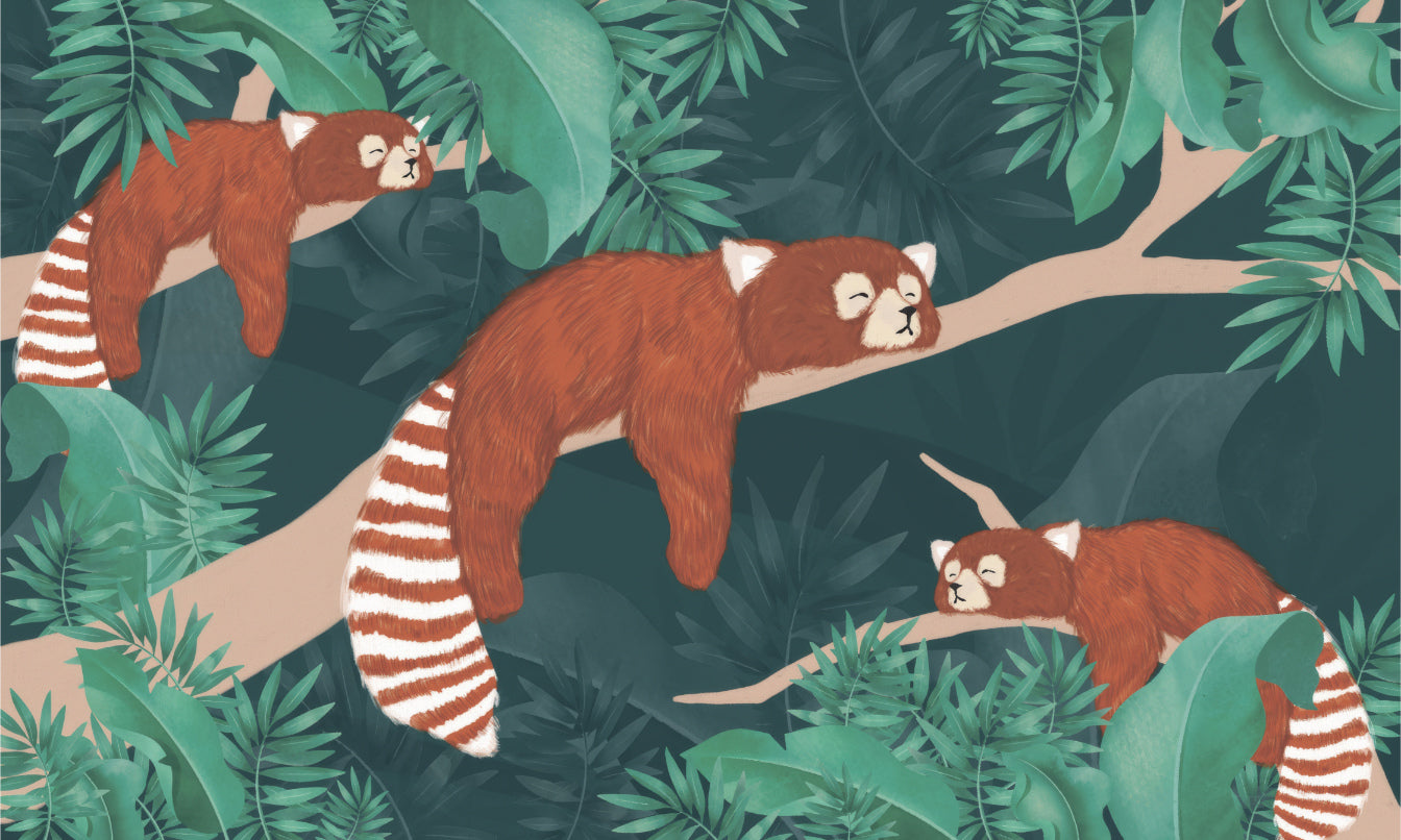 Wandbild mit rotem Panda