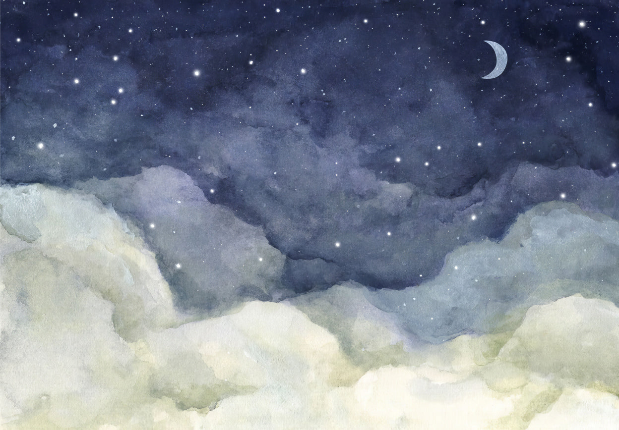 Stardust Veil Wall Mural