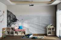 California coast in stunning black and white mural.

