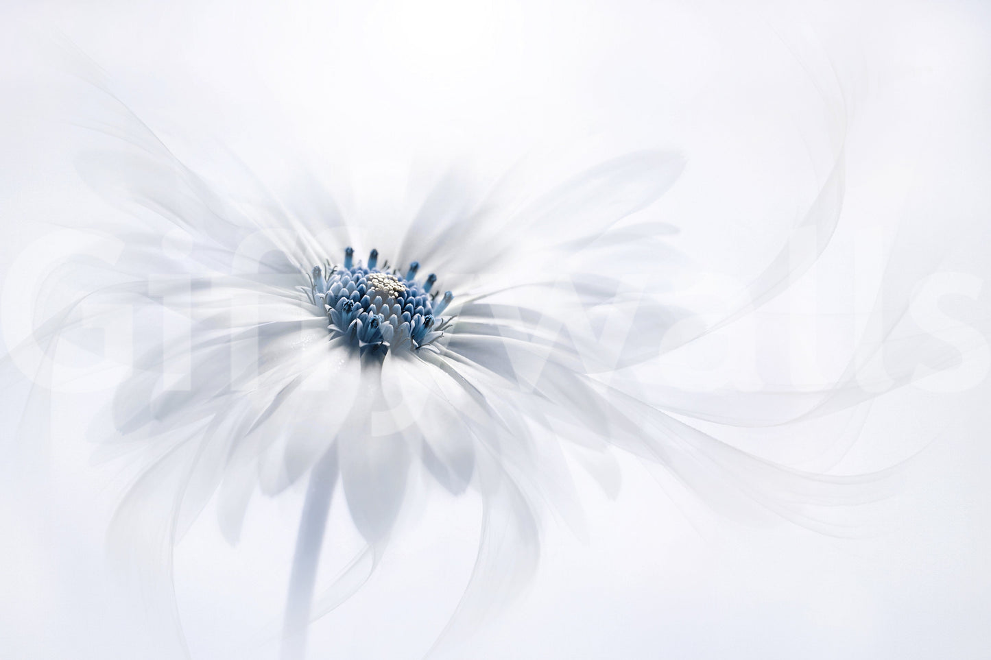 A high-quality serene botanical wall mural for walls.

