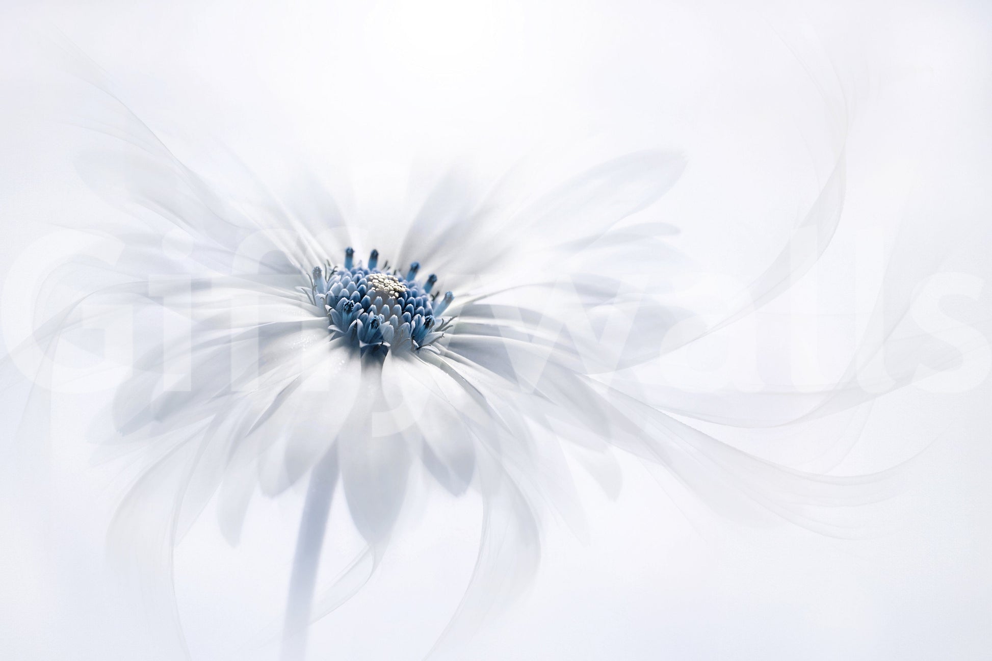 A high-quality serene botanical wall mural for walls.

