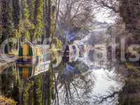 Wall decor evoking serenity and nature's calm.

