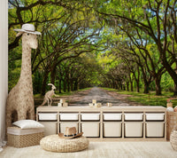 Canopy of oaks wall mural wallpaper
