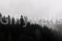 Haunting Canyon Woodland Haze, obscured forest, monochromatic art.