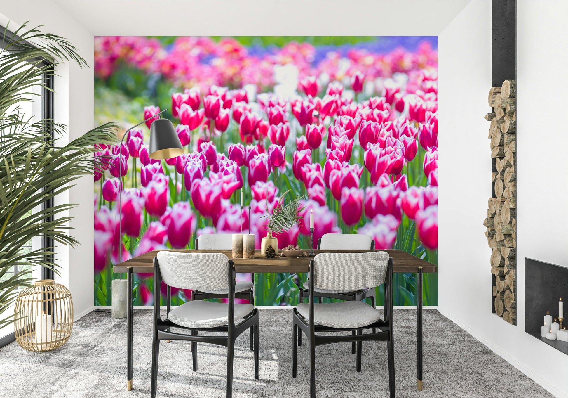 Springtime beauty, Tulip Wonderland flowers, home accent.