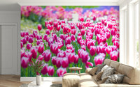 Premium decorative Tulip Wonderland for interior walls.