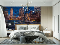 Iconic city photo Central Park at Night decorating wall mural