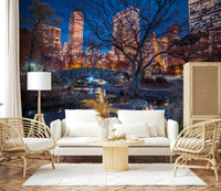 Scenic park view Central Park at Night wall mural