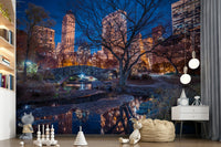 River pathway Central Park at Night home accent