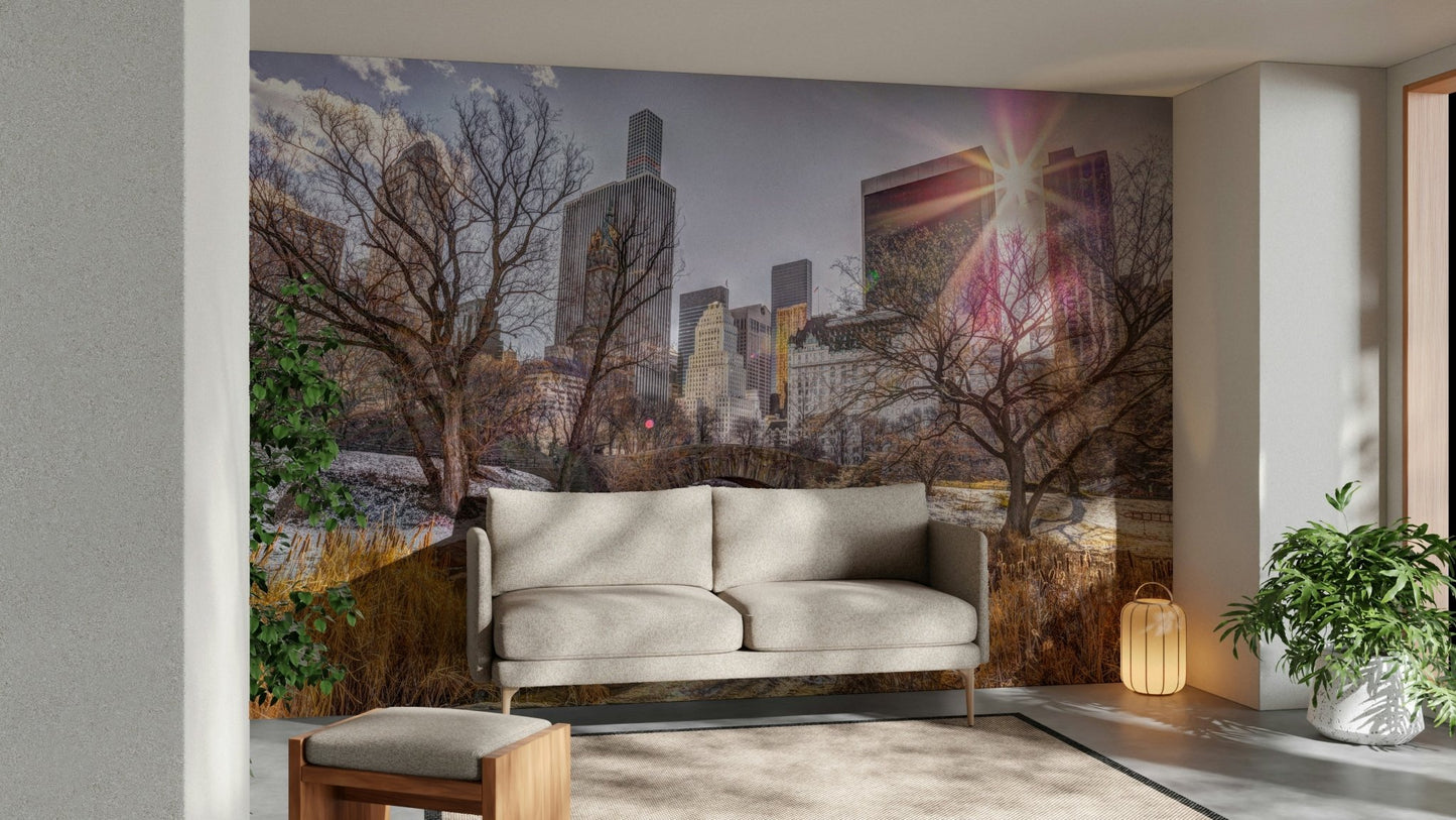 Winter scene in Central Park, New York City.

