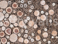 Mixed-size timber slice mural

