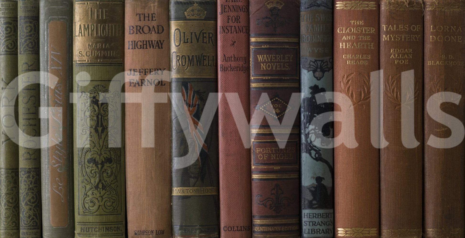 Traditional library wall mural with volumes