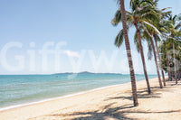 Coastal Palm Serenity Wall Mural