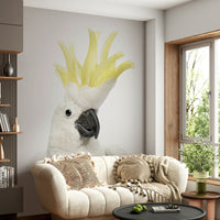 Tropical bird wall mural for living rooms

