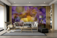 A close-up view shows the smooth, blending colors of the abstract art.

