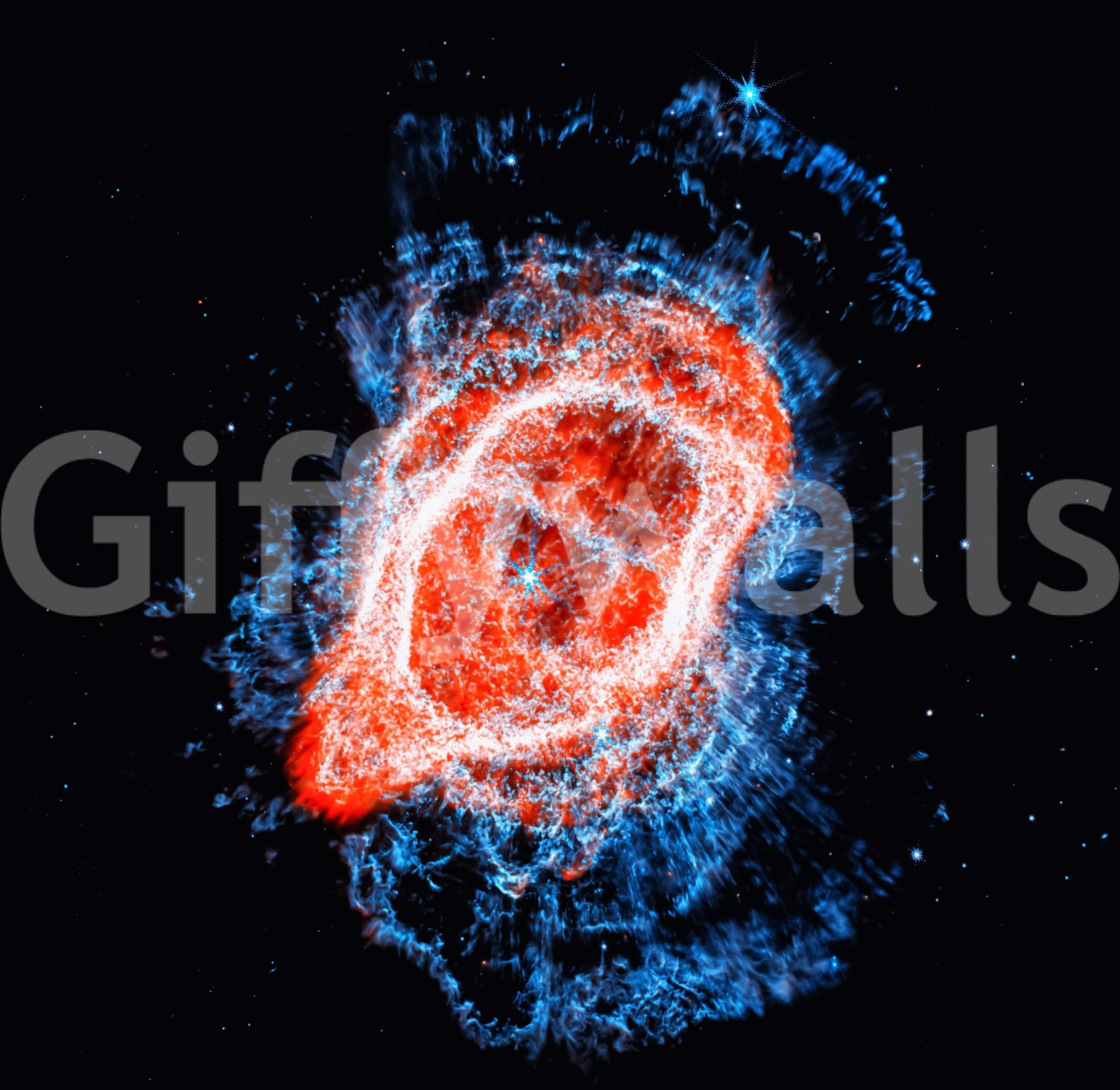 Cosmic Bloom Wall Mural