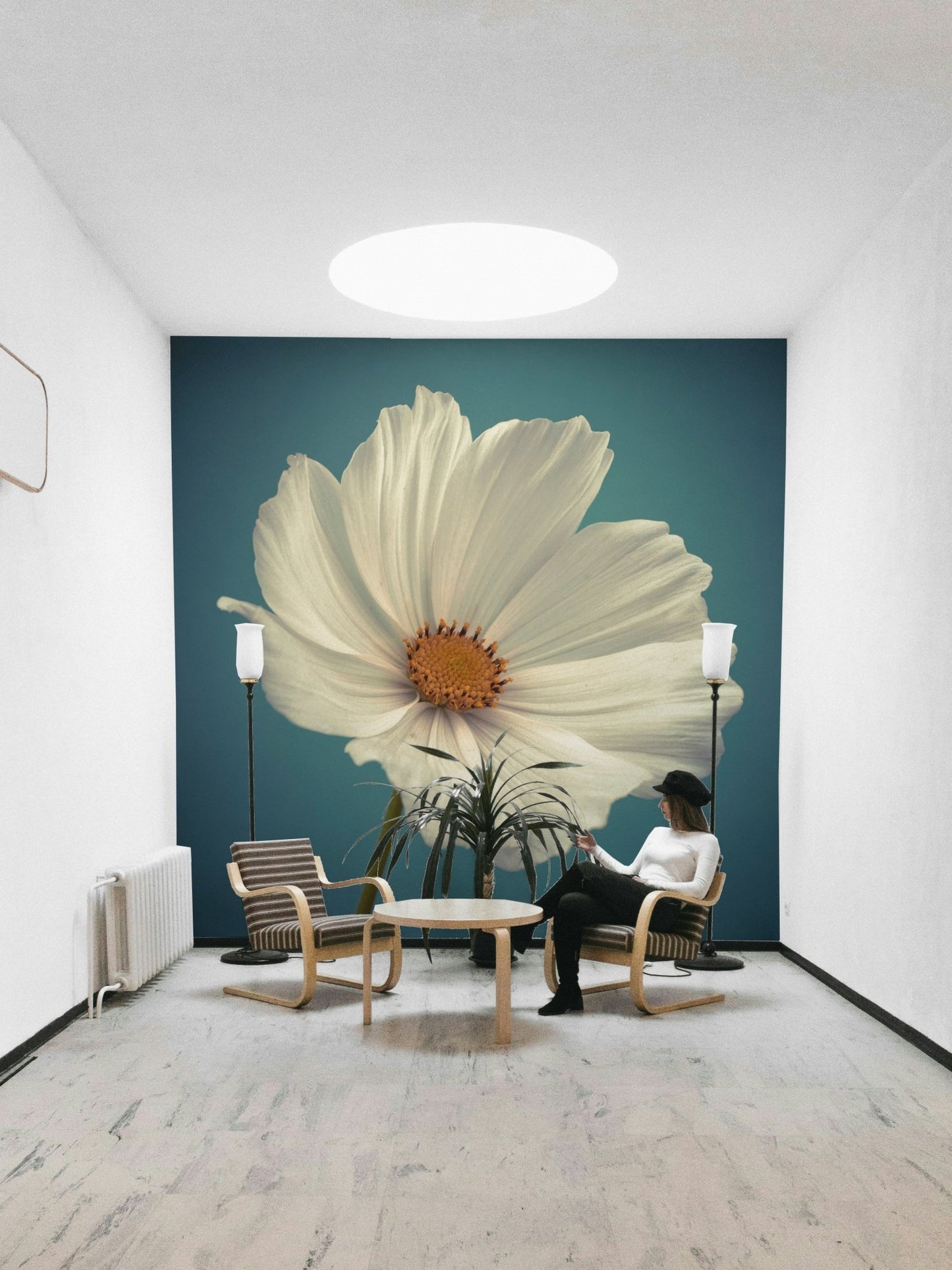 White cosmos bloom against a soft, serene backdrop

