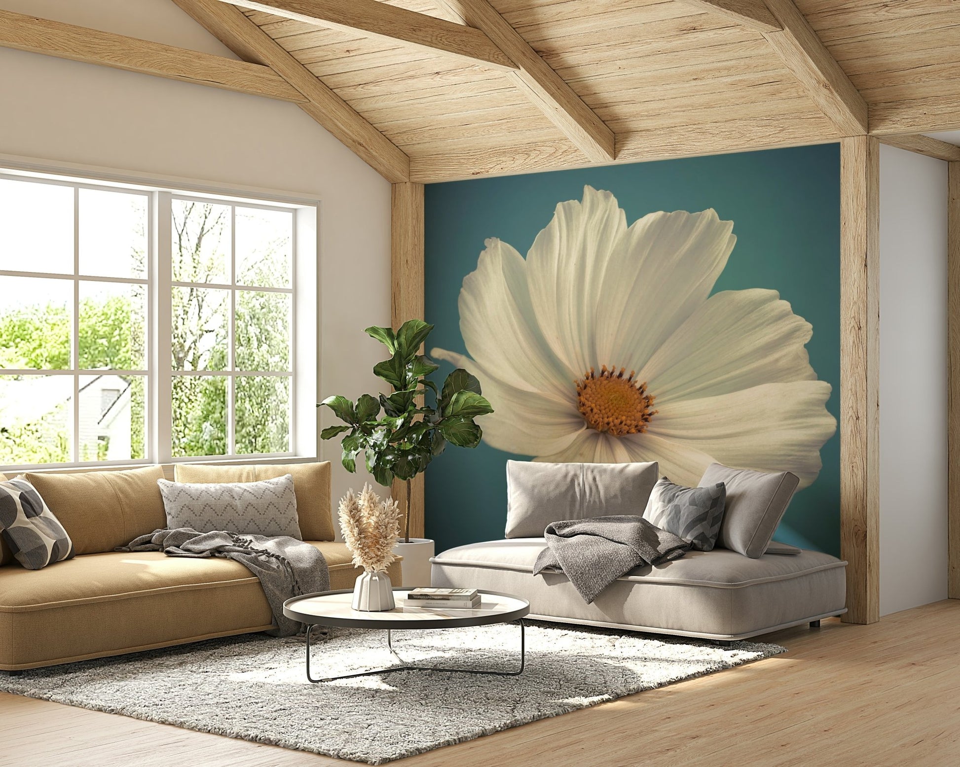 Close-up of vibrant cosmos petals in soft colors

