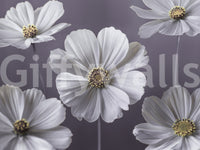 Cosmos Flowers Wall Mural