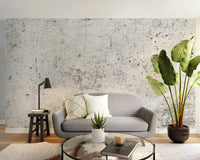 Cracks Scratch Wallpaper Mural - Giffywalls