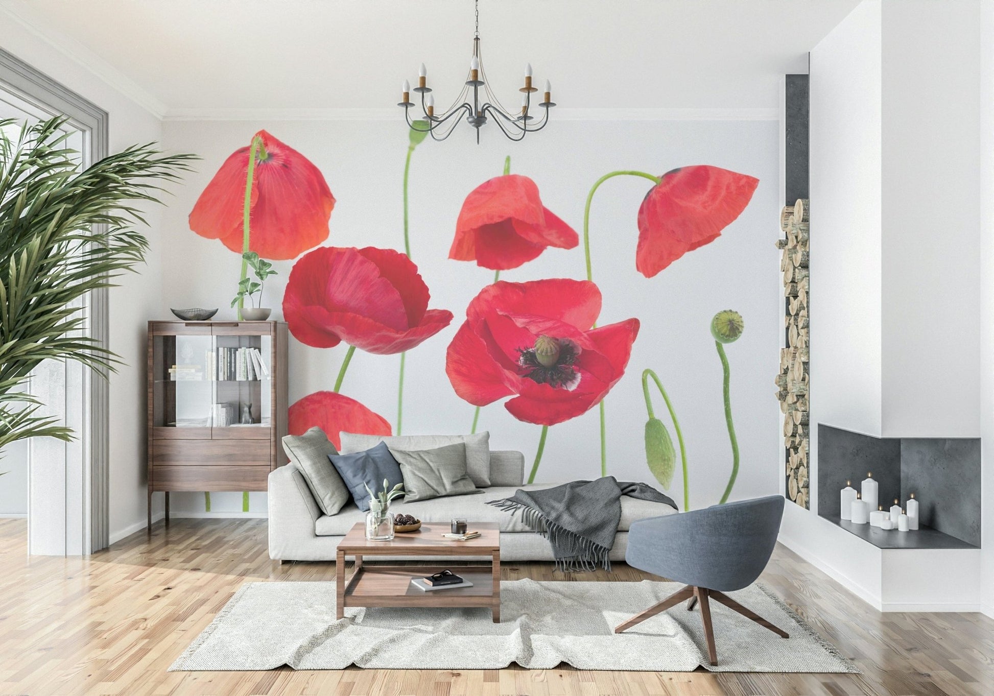 Crimson Poppy Field wall mural illustrating wild flora growth and unopened pods.
