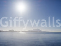 Subtle blue textured appearance of the Crystal Blue Morning wall mural