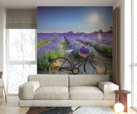 Serene vintage bike in a lavender field wall mural for decor.


