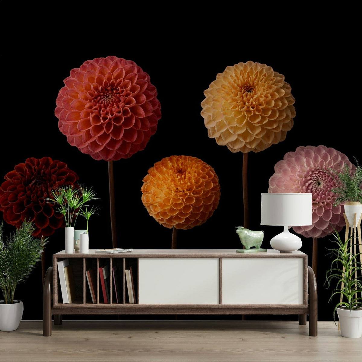 Wall mural with dahlia flowers on a black background.

