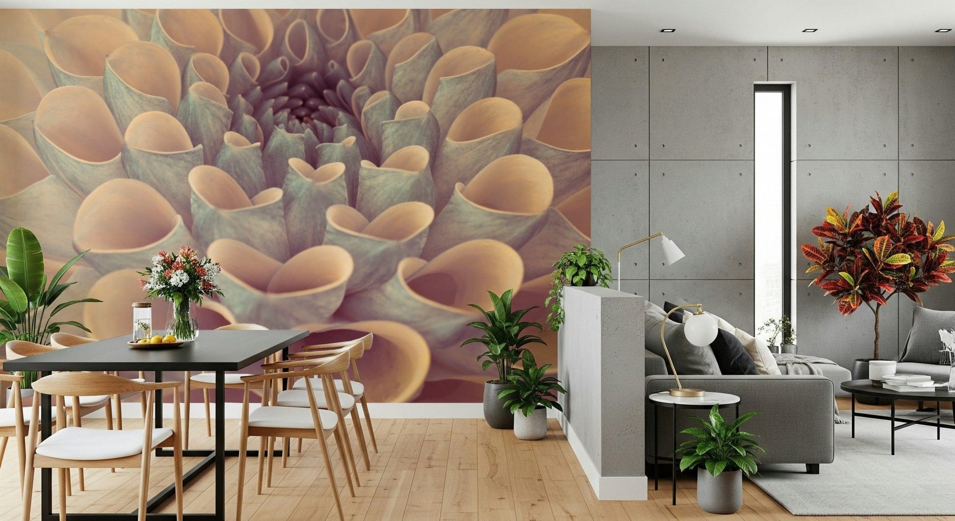 Elegant wall mural with detailed petals of a dahlia forming a mesmerizing spiral center.