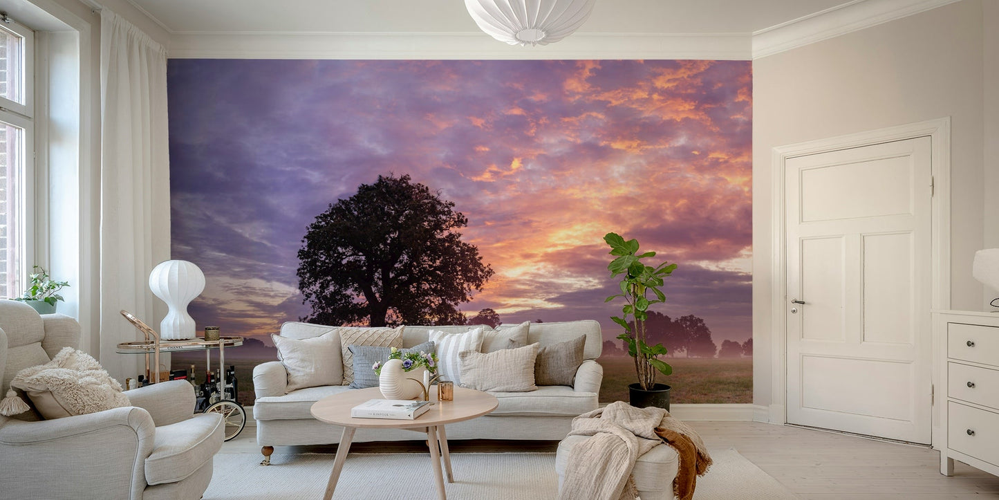 sunrise over a misty field

