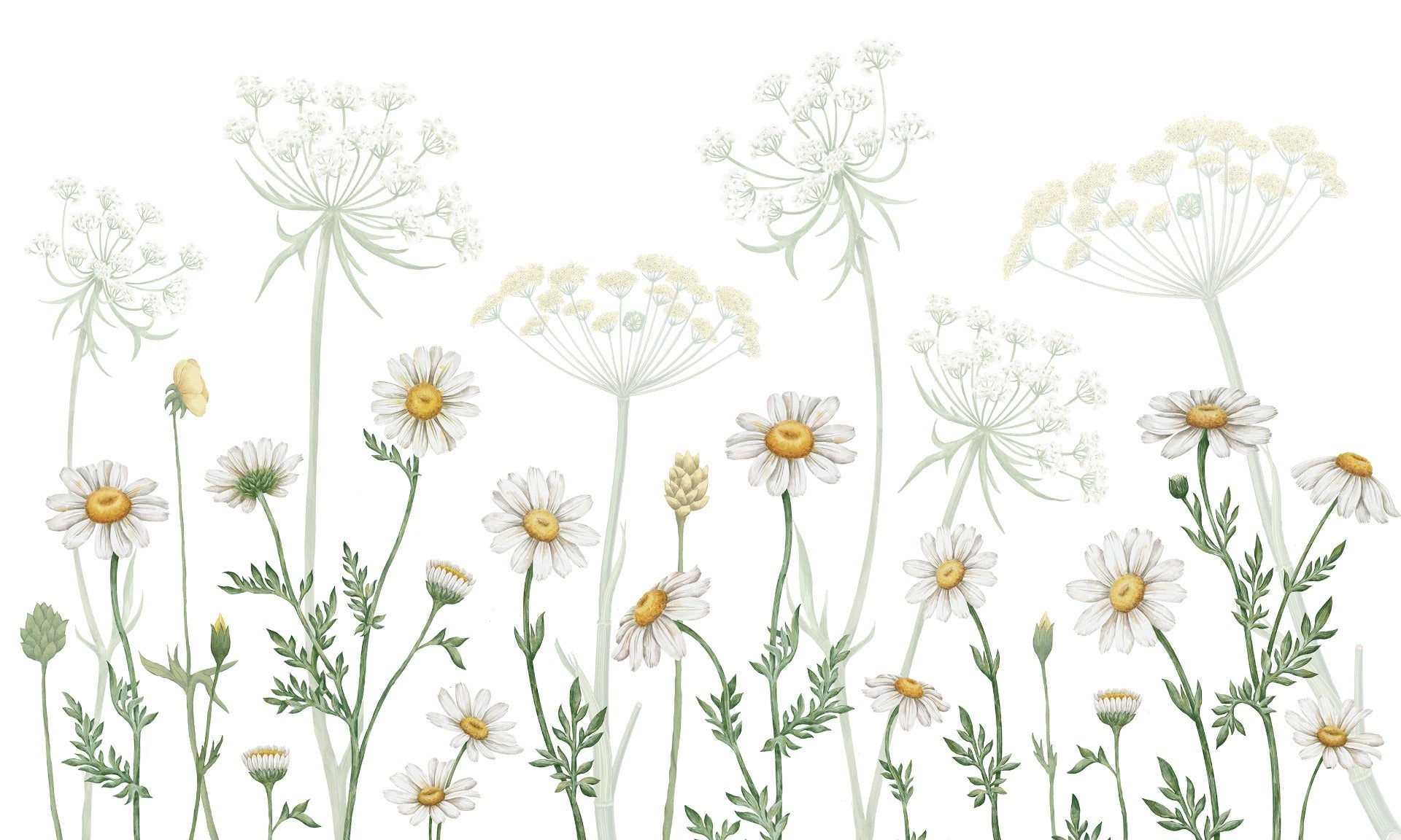 Tamponnage de fleurs éblouissantes