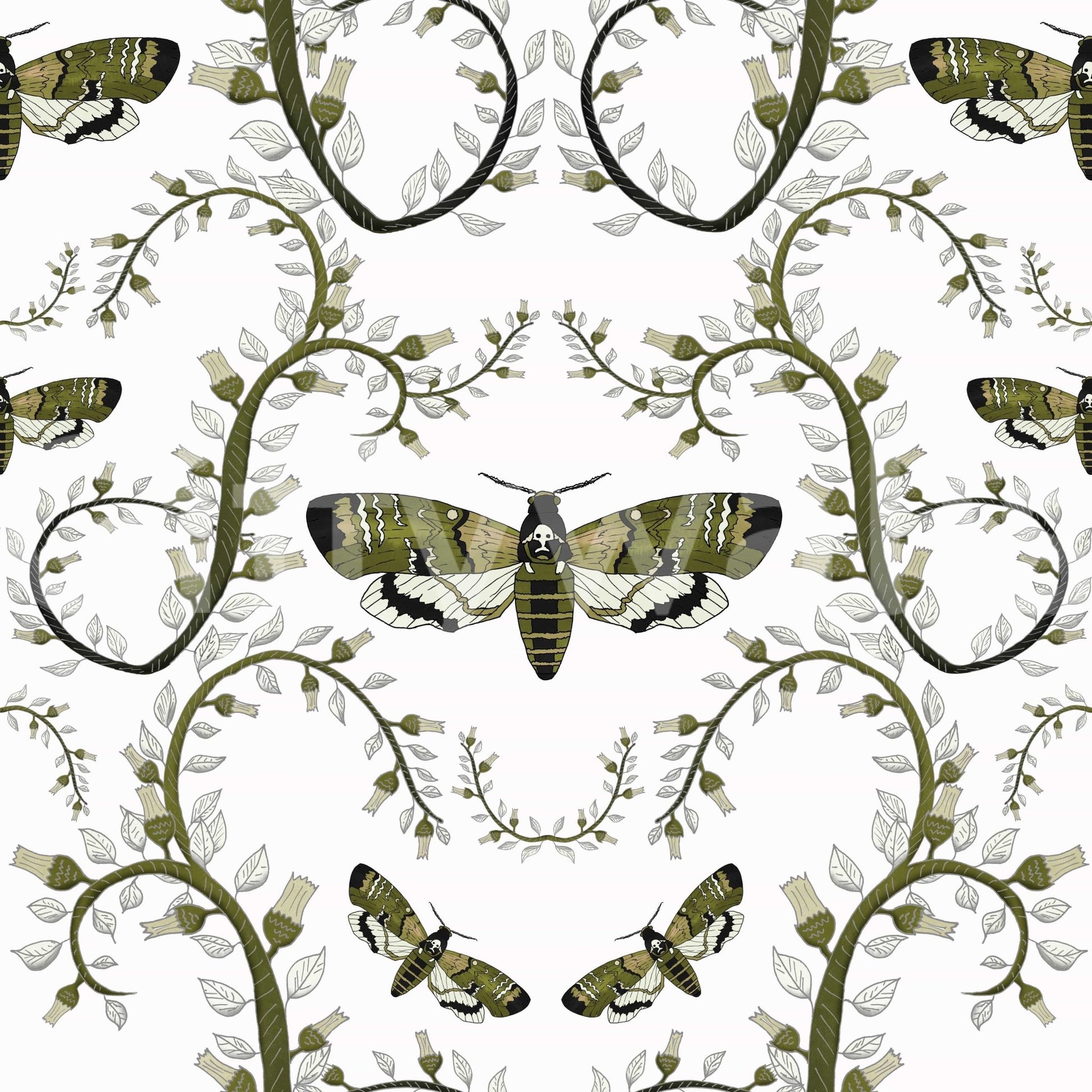Death's - Head Hawkmoth Garden Wallpaper⁠
