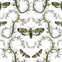 Death's - Head Hawkmoth Garden Wallpaper⁠