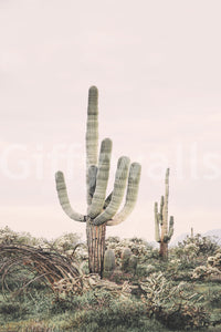 Striking desert scene wallpaper for feature wall

