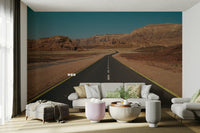 A living room featuring the desert road wall mural.

