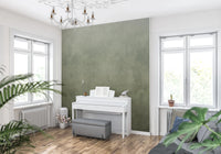 Dirty Paper - Ombre Sage Wall Mural