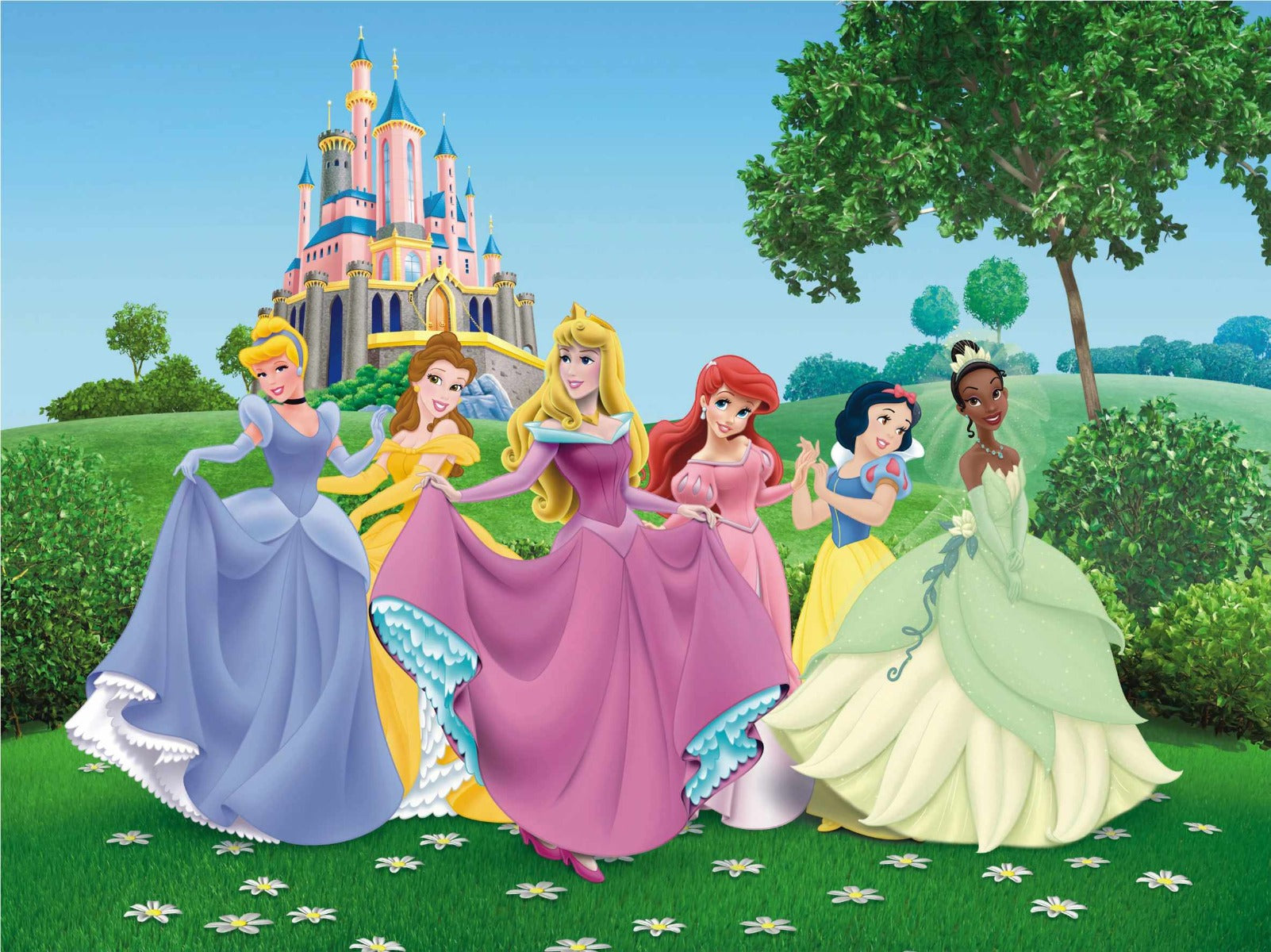 Disney Princesses Kinderzimmer Wandmalrad in your room — zoomed