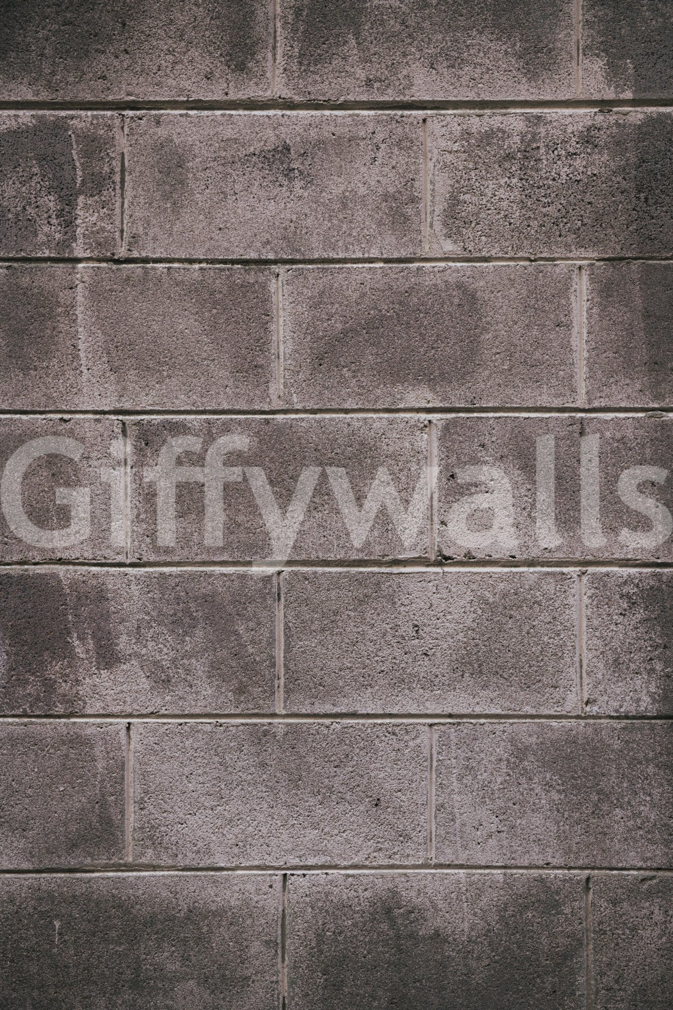 Distressed Walls Wall Mural -2226412