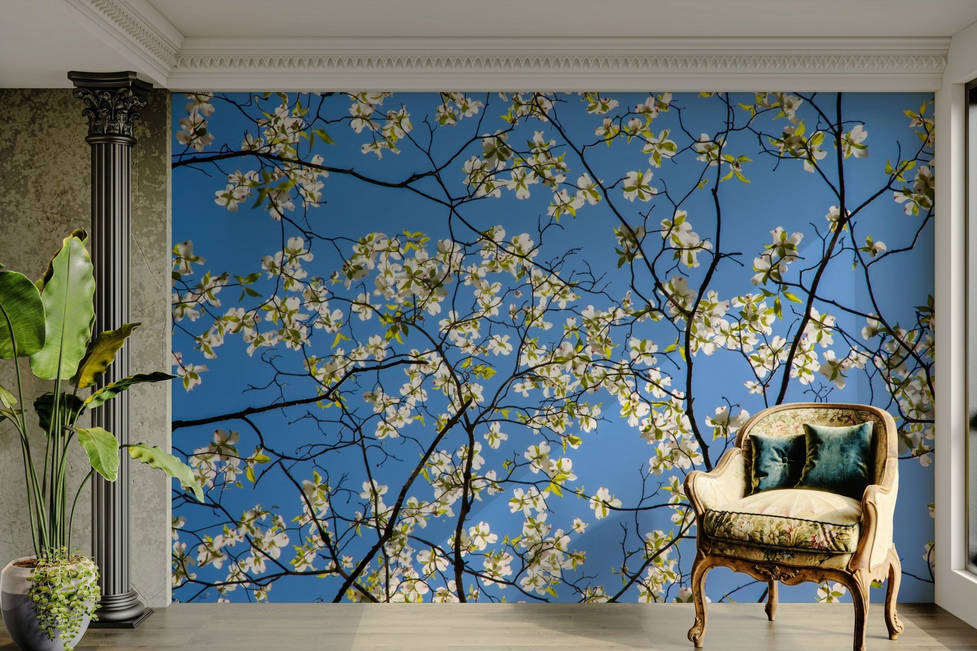 White dogwood blooms in spring setting
