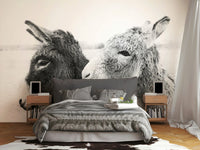 Donkey Love Wall Mural in a hallway with neutral carpet.