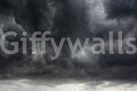 A high-quality minimalist sky wall mural for walls.

