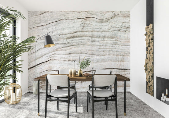 Weathered coastal timber look in Driftwood Texture Wall Mural soft grain wall