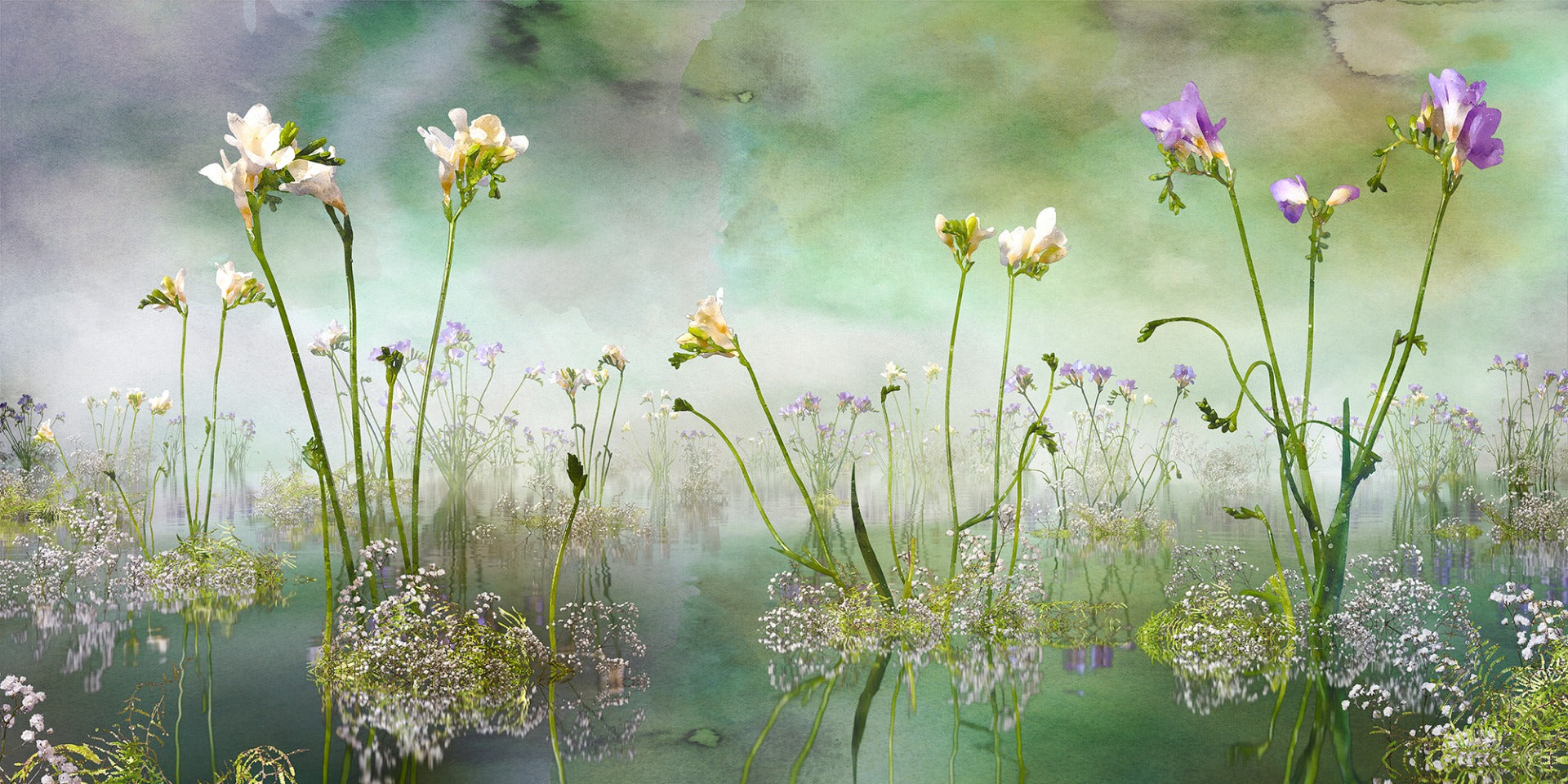 Foreesia Flower Flower Wallpaper Girals