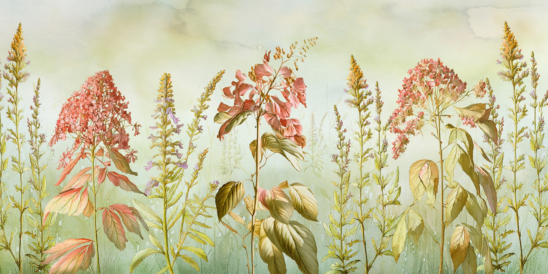 Fleurs sauvages Meadows Paper peintures murales
